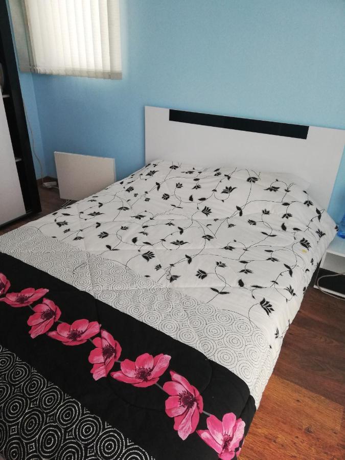 Стаи За Гости Рила Extérieur photo